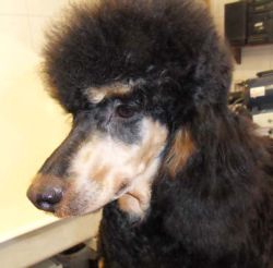 Winni6Mo 014